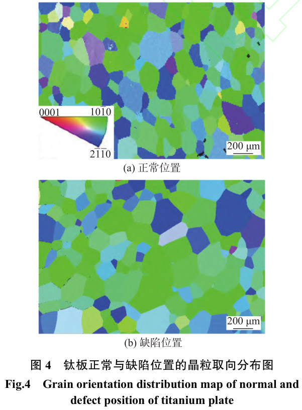 1713104774527477.jpg t4.jpg