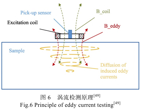 1714060988425837.jpg t6.jpg
