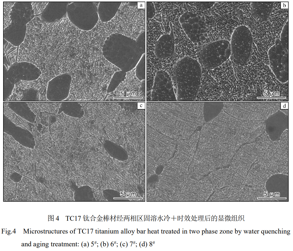 1735386807634309.png 截圖20241228195011.png